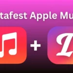 Instafest App: How a Student Project Turned Into a Viral Music Festival Poster Generator