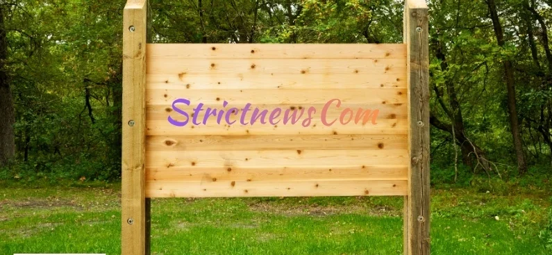 StrictNews Com A Complete Guide to This Growing Digital News Platform